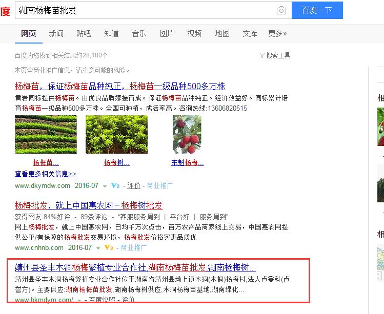 這樣做seo，靖州楊梅網站排名有盼頭